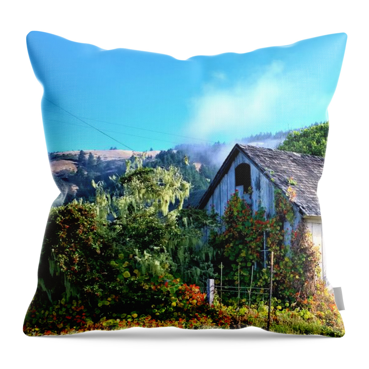 Cottage Throw Pillow featuring the photograph Northern California Cottage by Lisa Dunn