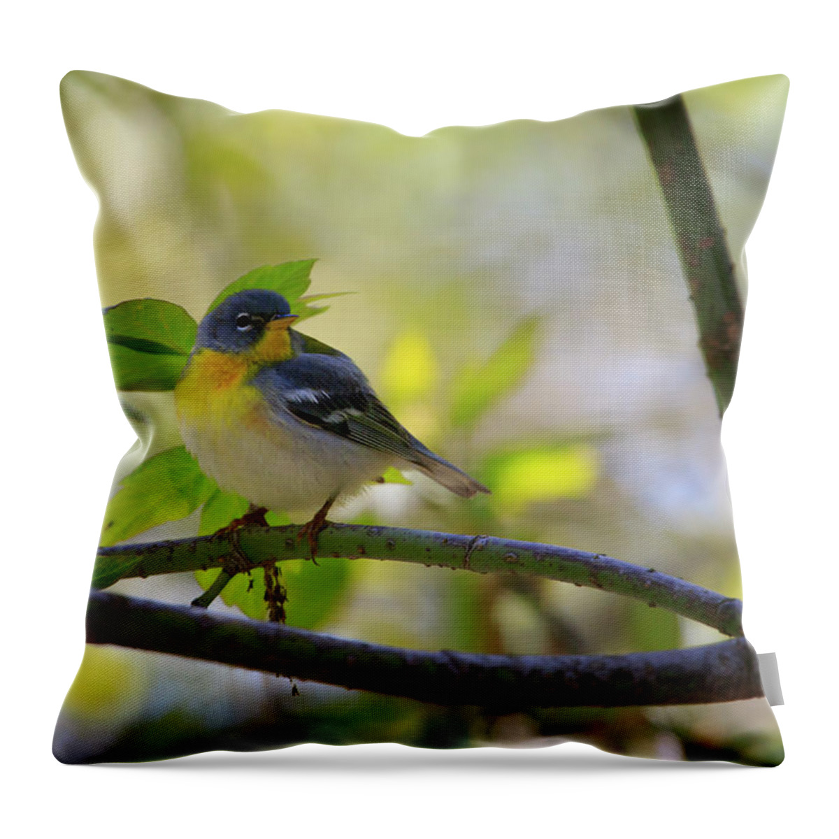 Gary Hall Throw Pillow featuring the photograph Northern Parula by Gary Hall