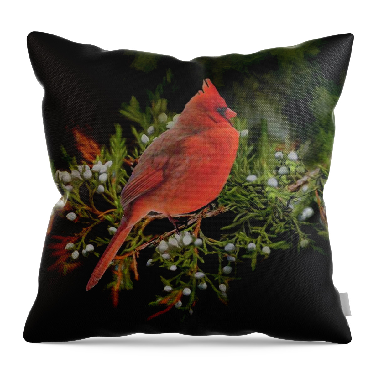 Bird Throw Pillow featuring the photograph Northern Scarlet Cardinal on White Berries by Janette Boyd