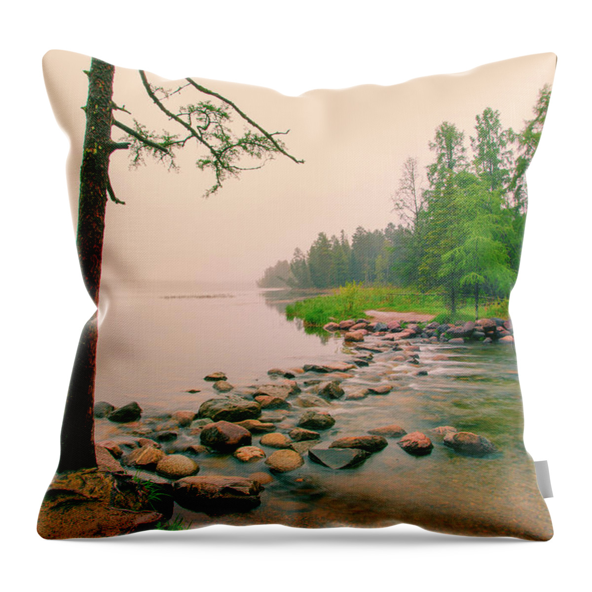 Mississippi Headwaters Throw Pillow featuring the photograph Nostalgic Mississippi Headwaters by Nancy Dunivin