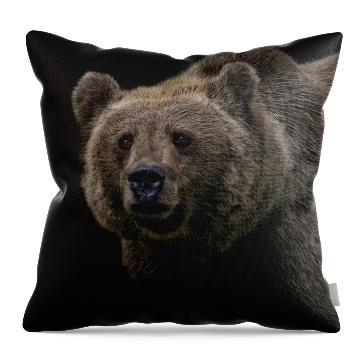 Portrait Throw Pillow featuring the photograph Not A Cuddly Toy Bear by Joachim G Pinkawa
