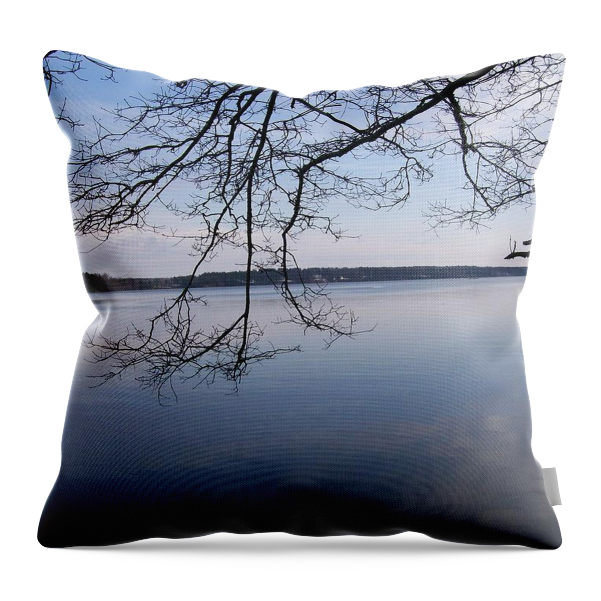 Photography Throw Pillow featuring the digital art Not A Ripple by Barbara S Nickerson