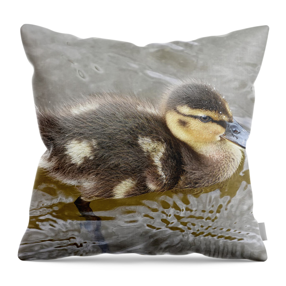 Duck Throw Pillow featuring the photograph Not so Ugly Duckling by Kuni Photography