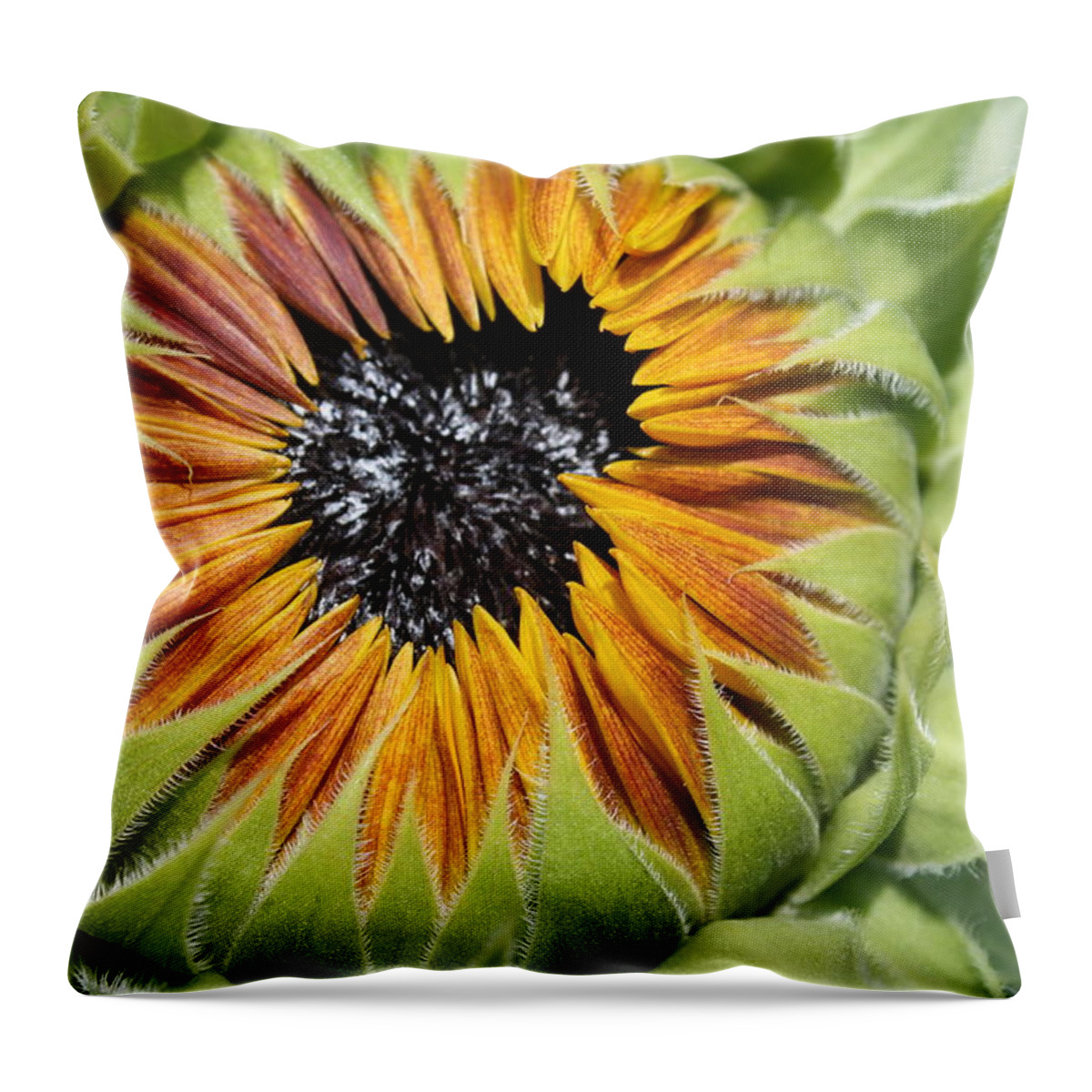Flower Throw Pillow featuring the photograph Not Yet by James Haney