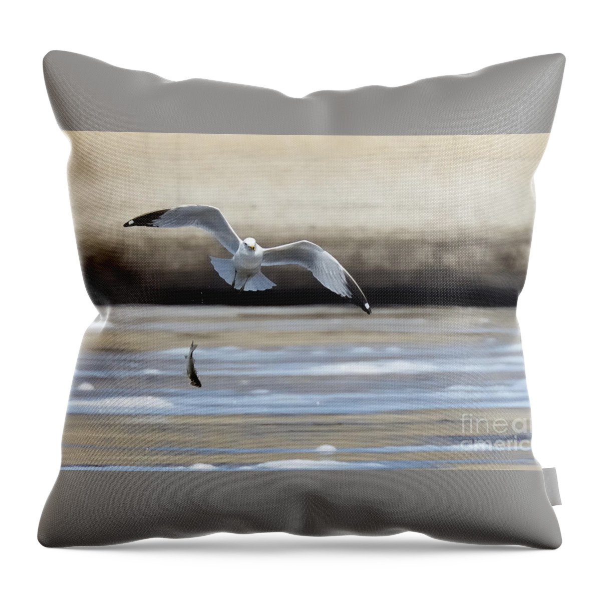 Seagull Sea Full Bird Fish Fishing Nature Wildlife Throw Pillow featuring the photograph Not Quite 2777 by Ken DePue
