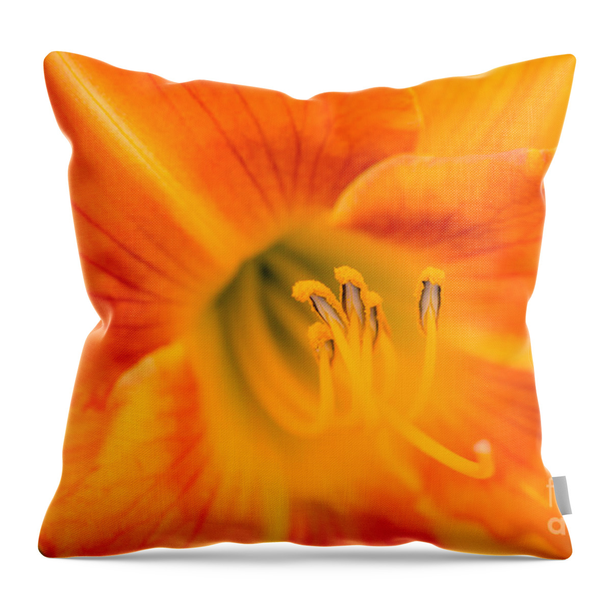 Orange Throw Pillow featuring the photograph Nothing Rhymes with Orange by Ana V Ramirez