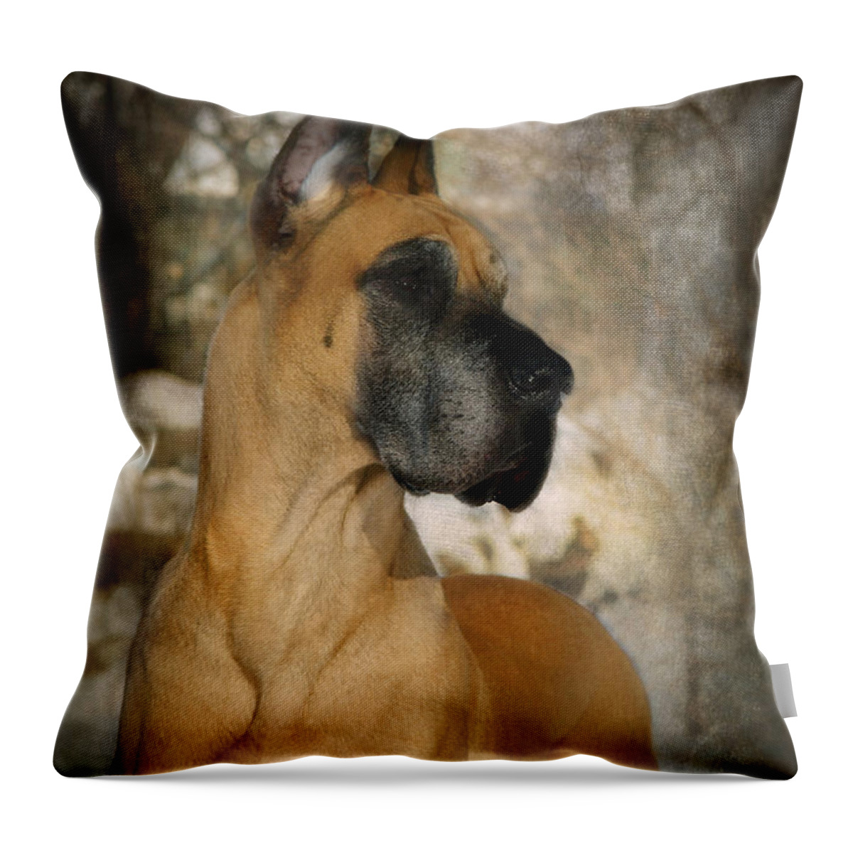 Great Dane Throw Pillow featuring the photograph 'Notredanes Andre' by Fran J Scott
