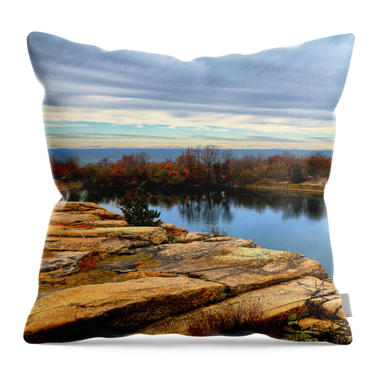 Landscape Throw Pillow featuring the photograph November colors by Lilia S