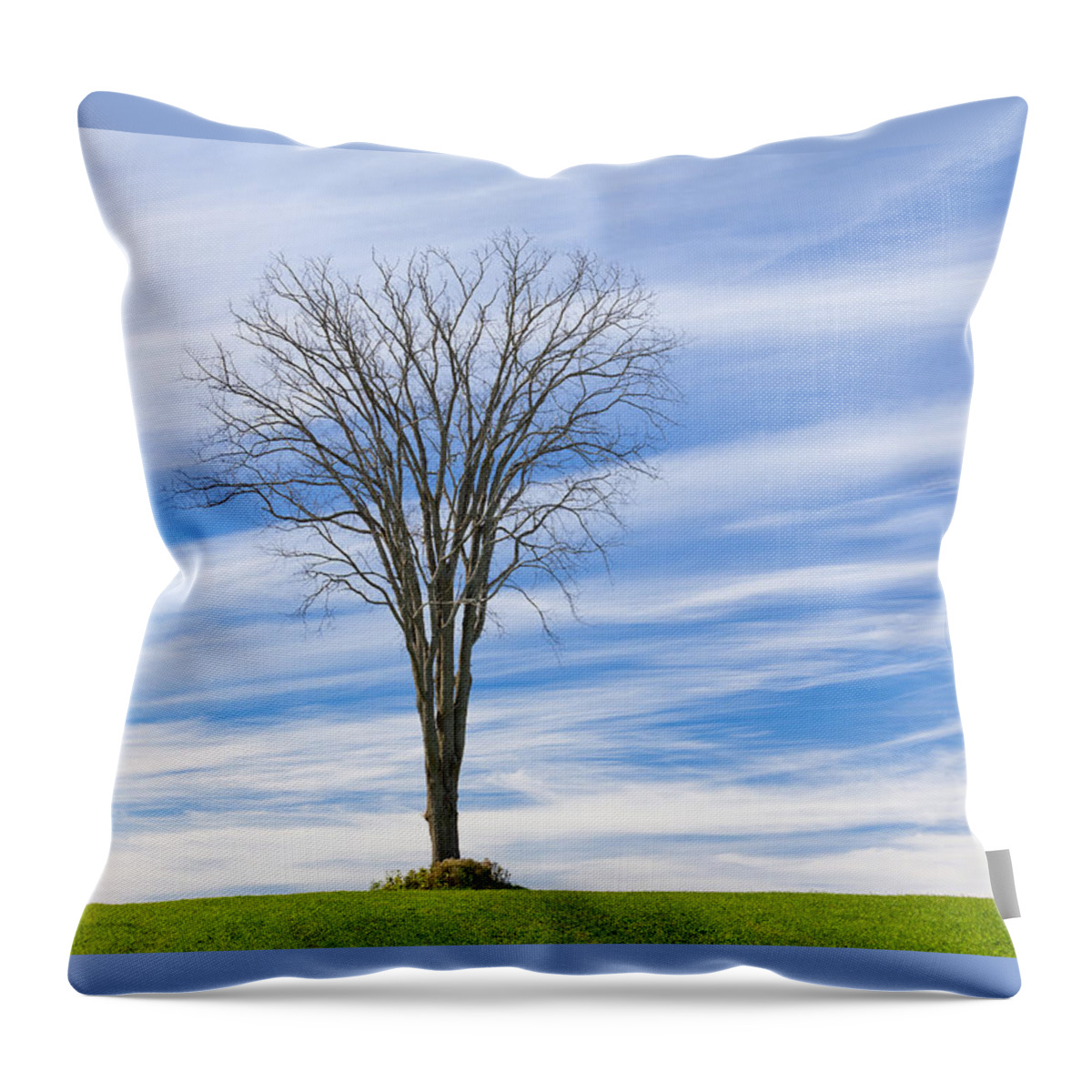 Fall Throw Pillow featuring the photograph November Elm Tree by Alan L Graham