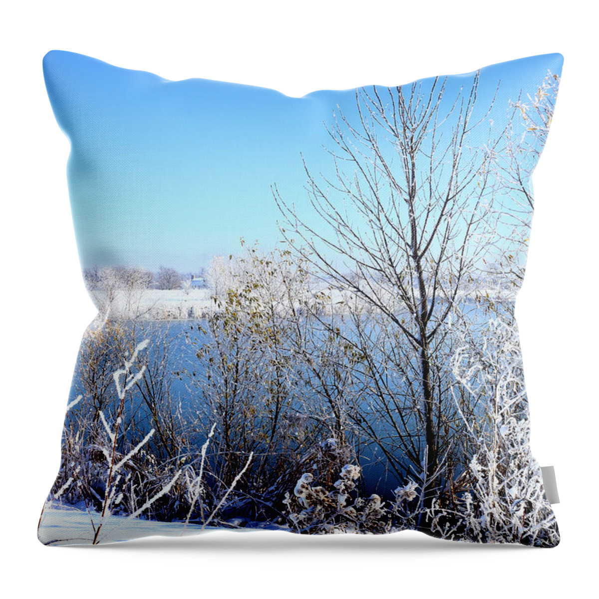 Autumn Throw Pillow featuring the photograph November Morning Surprise by Scott Kingery