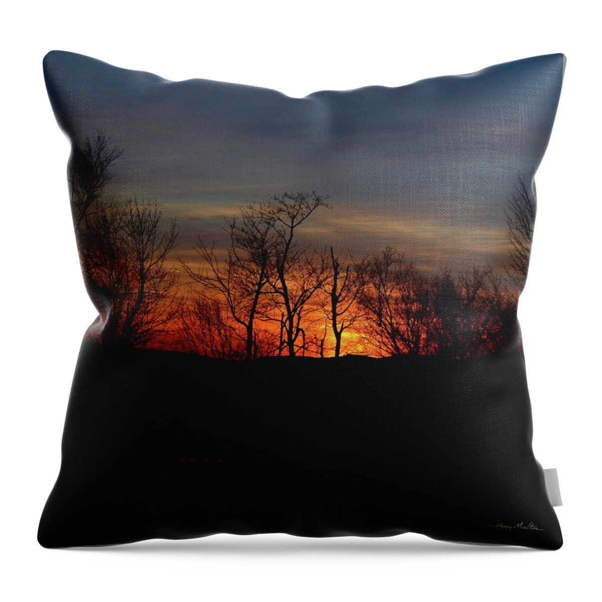 Sunset Throw Pillow featuring the photograph November Trees by Harry Moulton