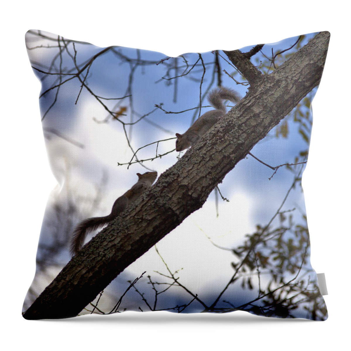 7644 Throw Pillow featuring the photograph Now What? by Gordon Elwell