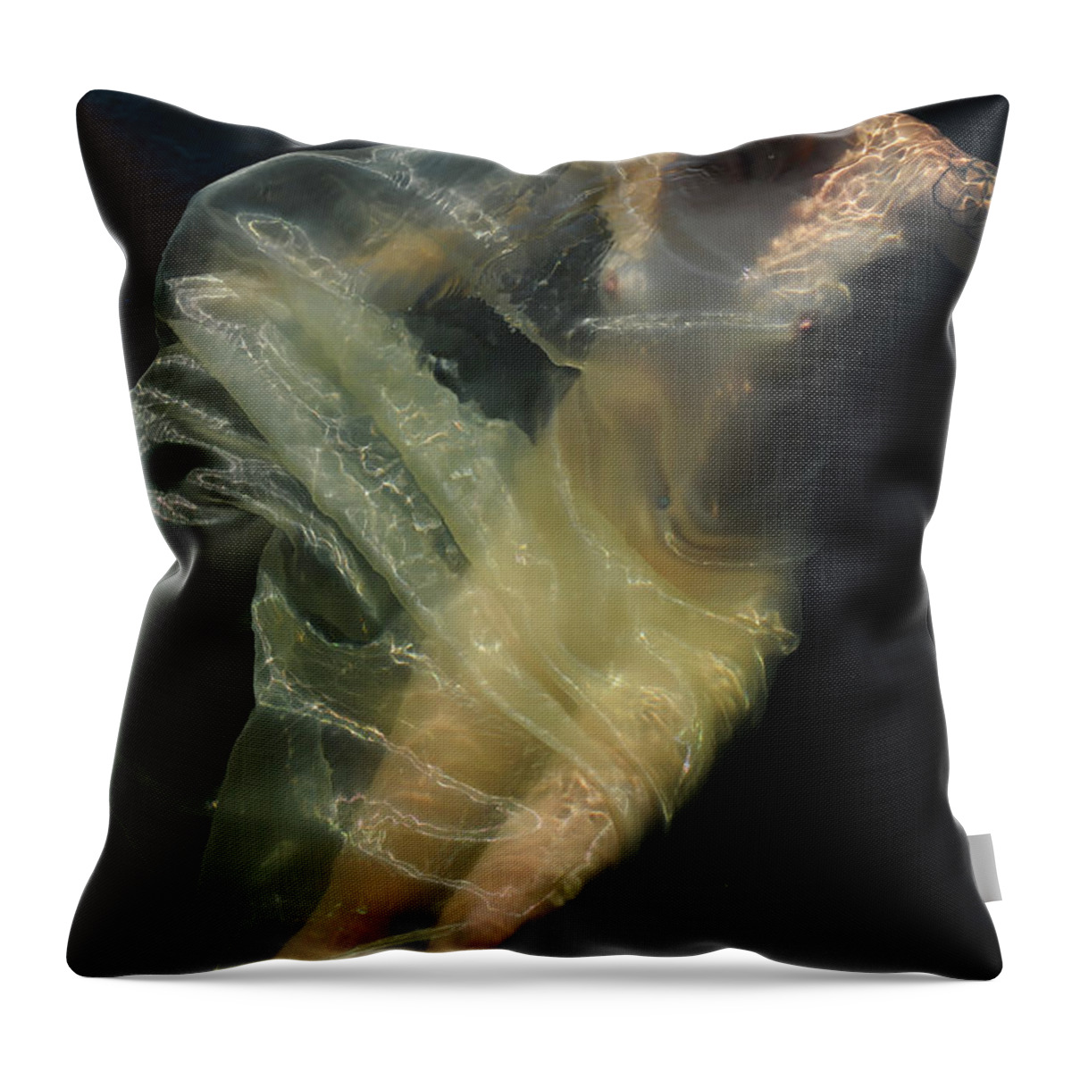  Throw Pillow featuring the photograph Celestial Body by Adele Aron Greenspun