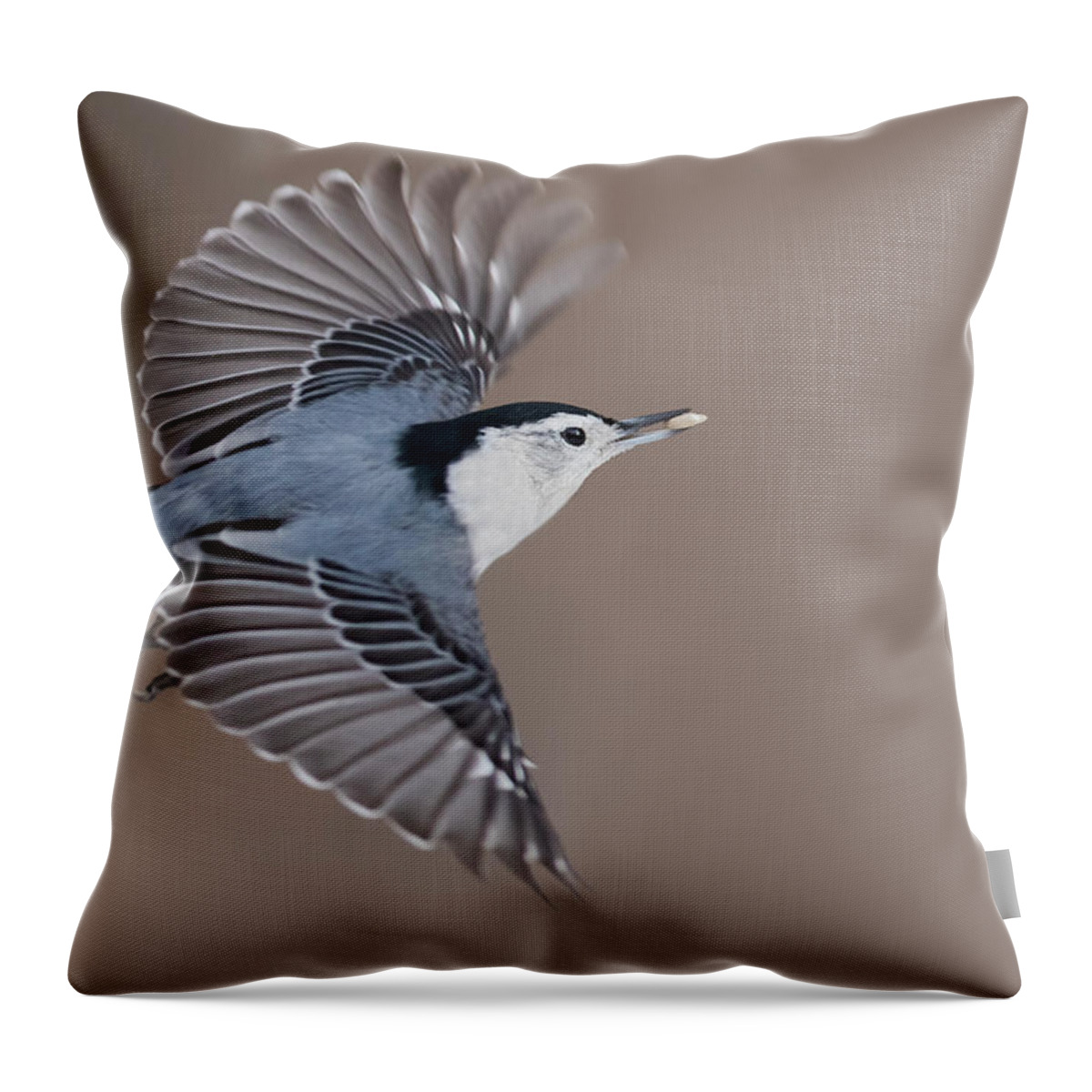 Nuthatch Throw Pillow featuring the photograph Nuthatch in flight by Mircea Costina Photography