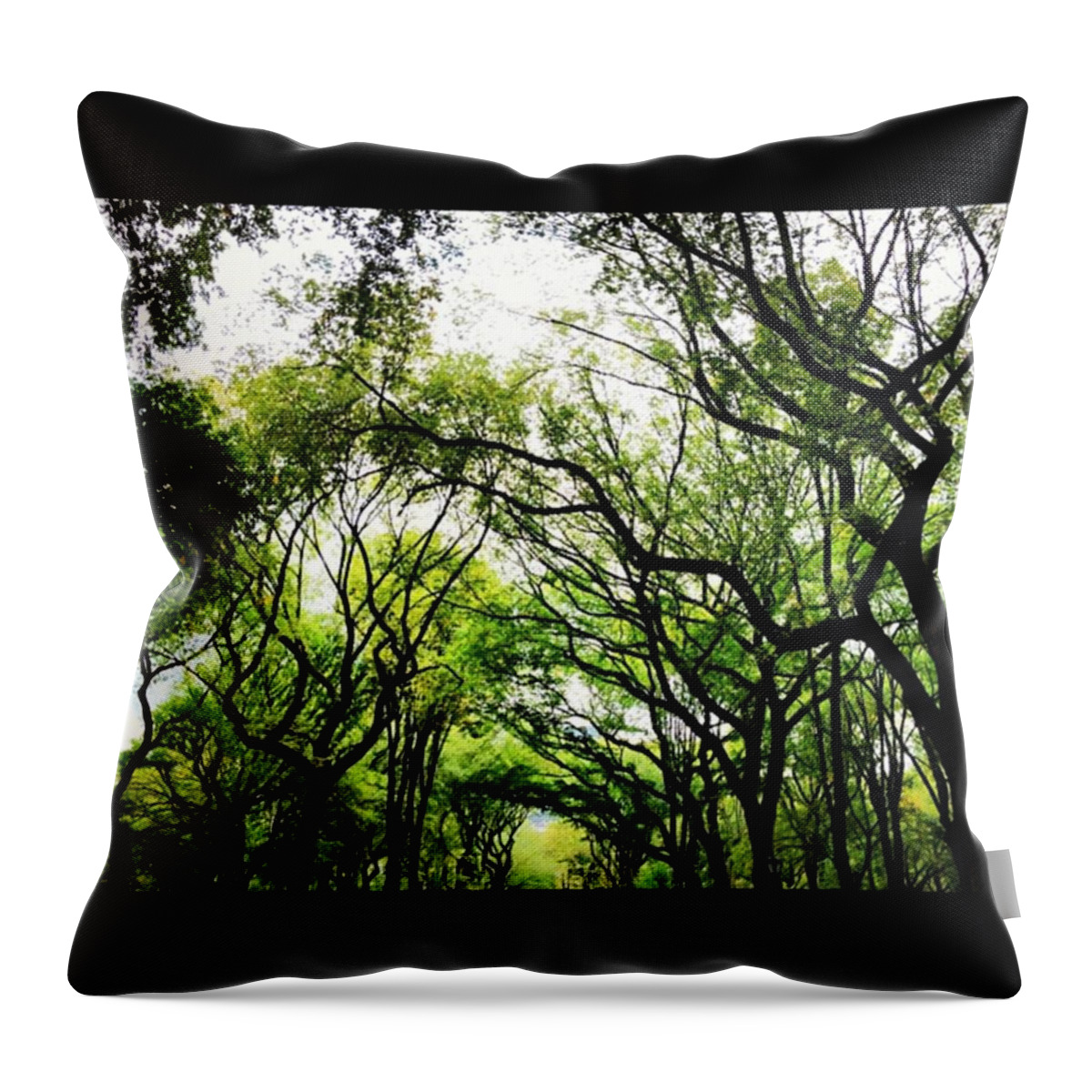 Urban Throw Pillow featuring the photograph #nyc #trees #centralpark #path by Gary Sumner