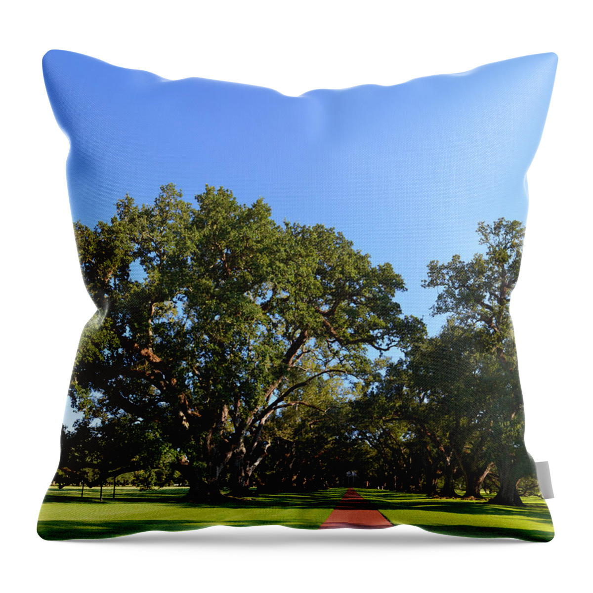 Oak Throw Pillow featuring the photograph Oak Alley Plantation Panoramic by Maggy Marsh