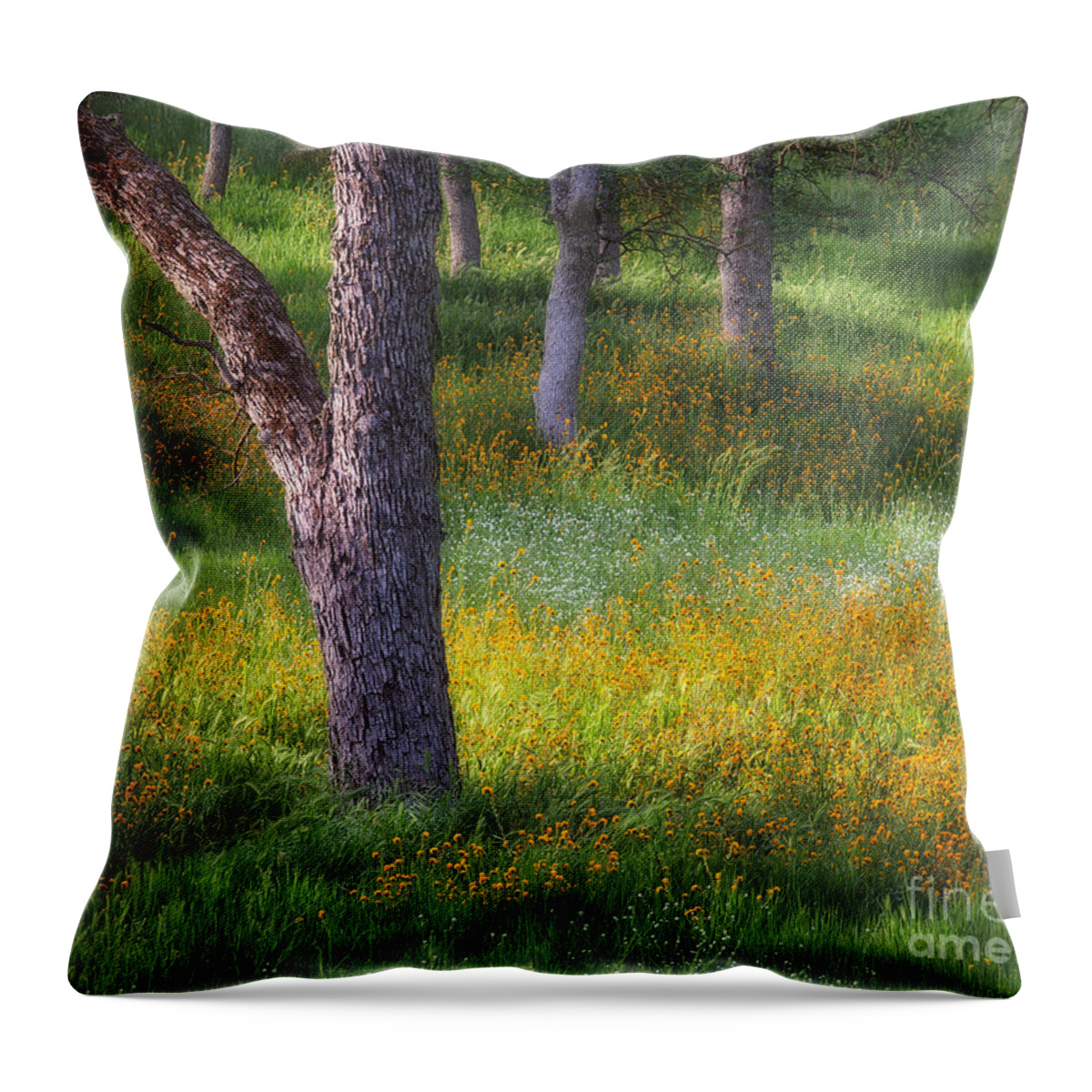 Sierra Throw Pillow featuring the photograph Oak and Wildflowers 2 by Anthony Michael Bonafede