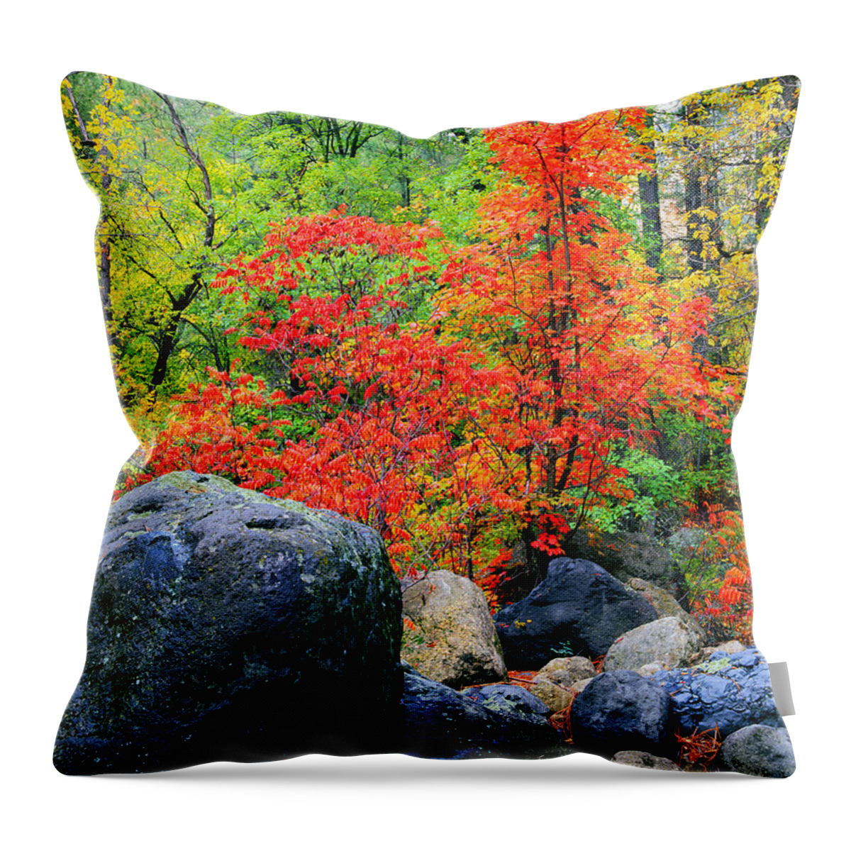 Arizona Throw Pillow featuring the photograph Oak Creek Canyon Red by Frank Houck