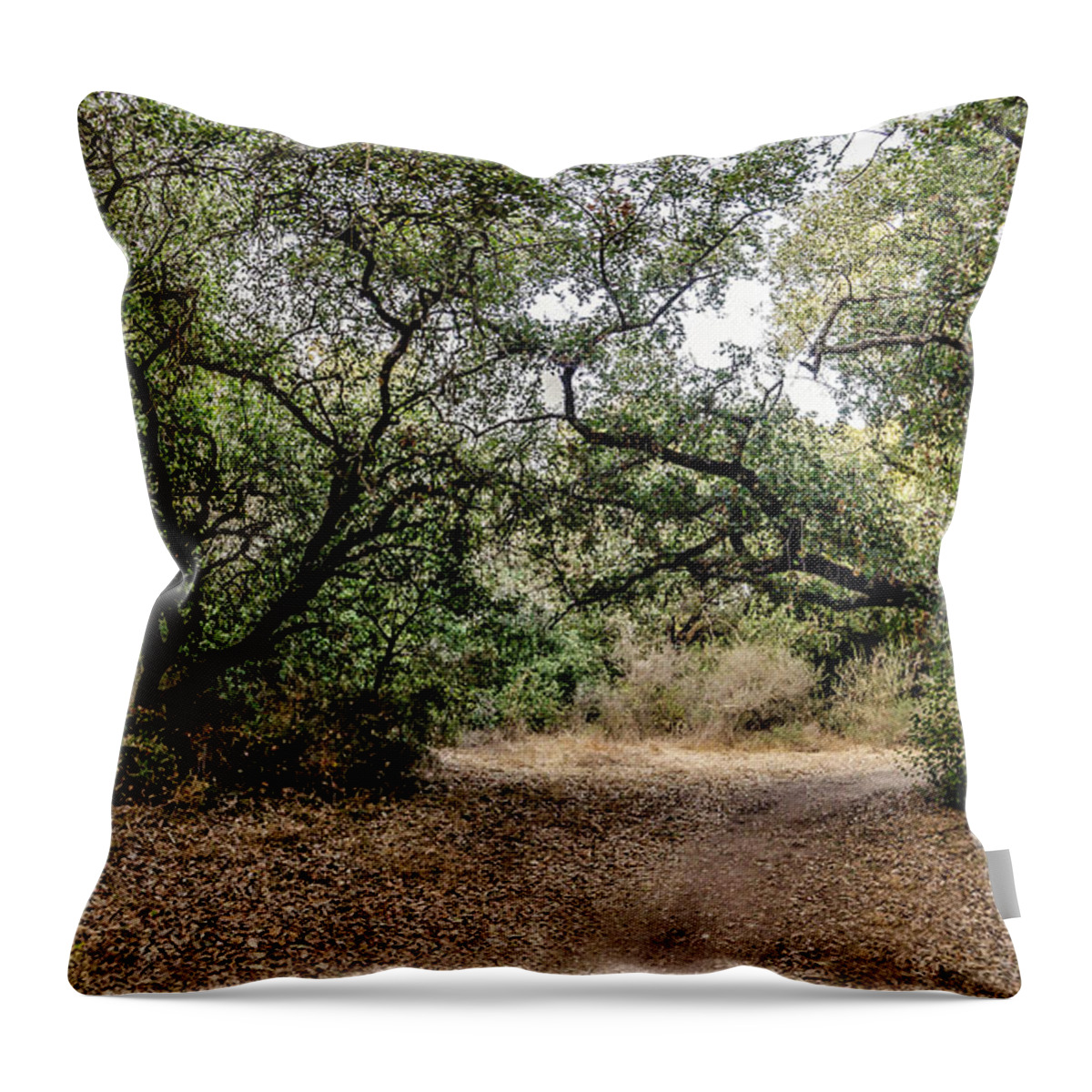 Nature Throw Pillow featuring the photograph Oak Forest Trail by Arik Baltinester