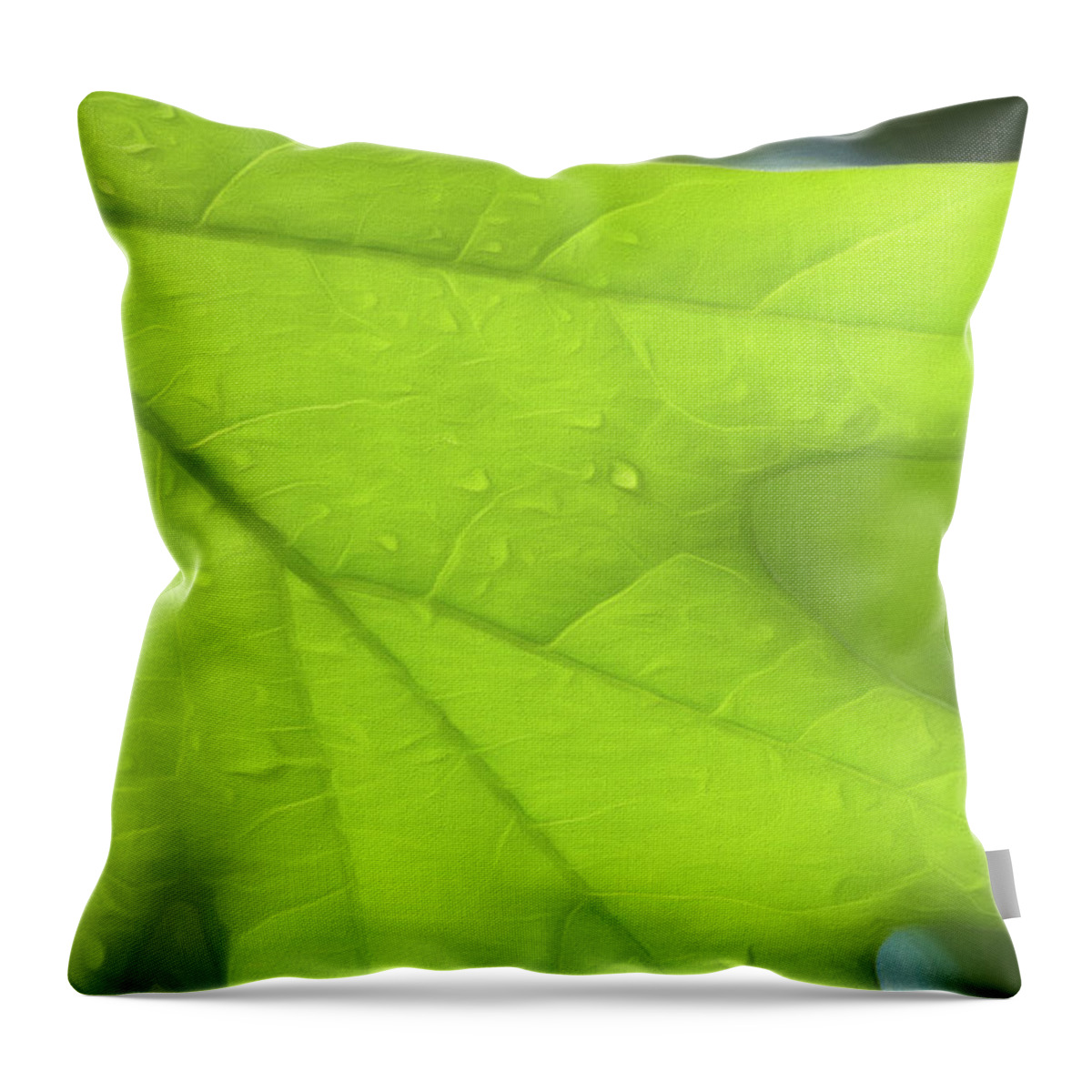 Oak Leaf Throw Pillow featuring the photograph Oak Leaf by Cindi Ressler