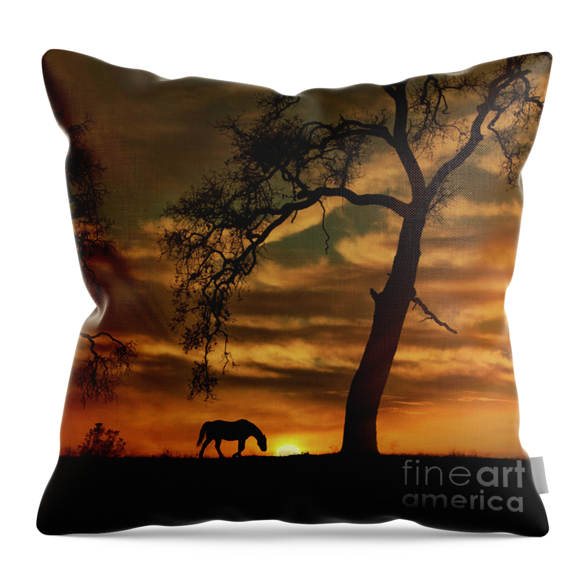 Horse Throw Pillow featuring the photograph Oak Tree and Horse Sunrise by Stephanie Laird