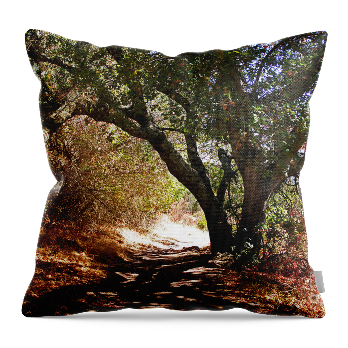 Oak Tree Throw Pillow featuring the photograph Oak Tree on Sylvan Trail by Laura Iverson
