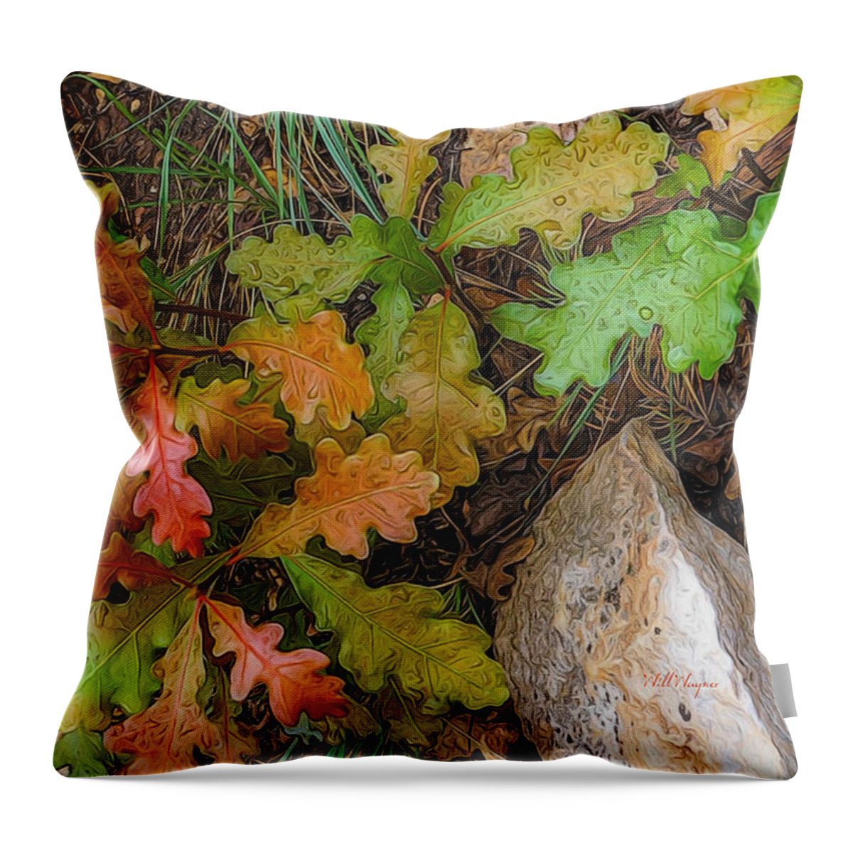 Oak Throw Pillow featuring the photograph Oak-y-Doke by Will Wagner