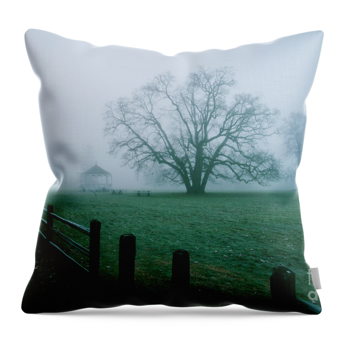 Trees Throw Pillow featuring the photograph Oaks in a Misty Fog by Rich Collins