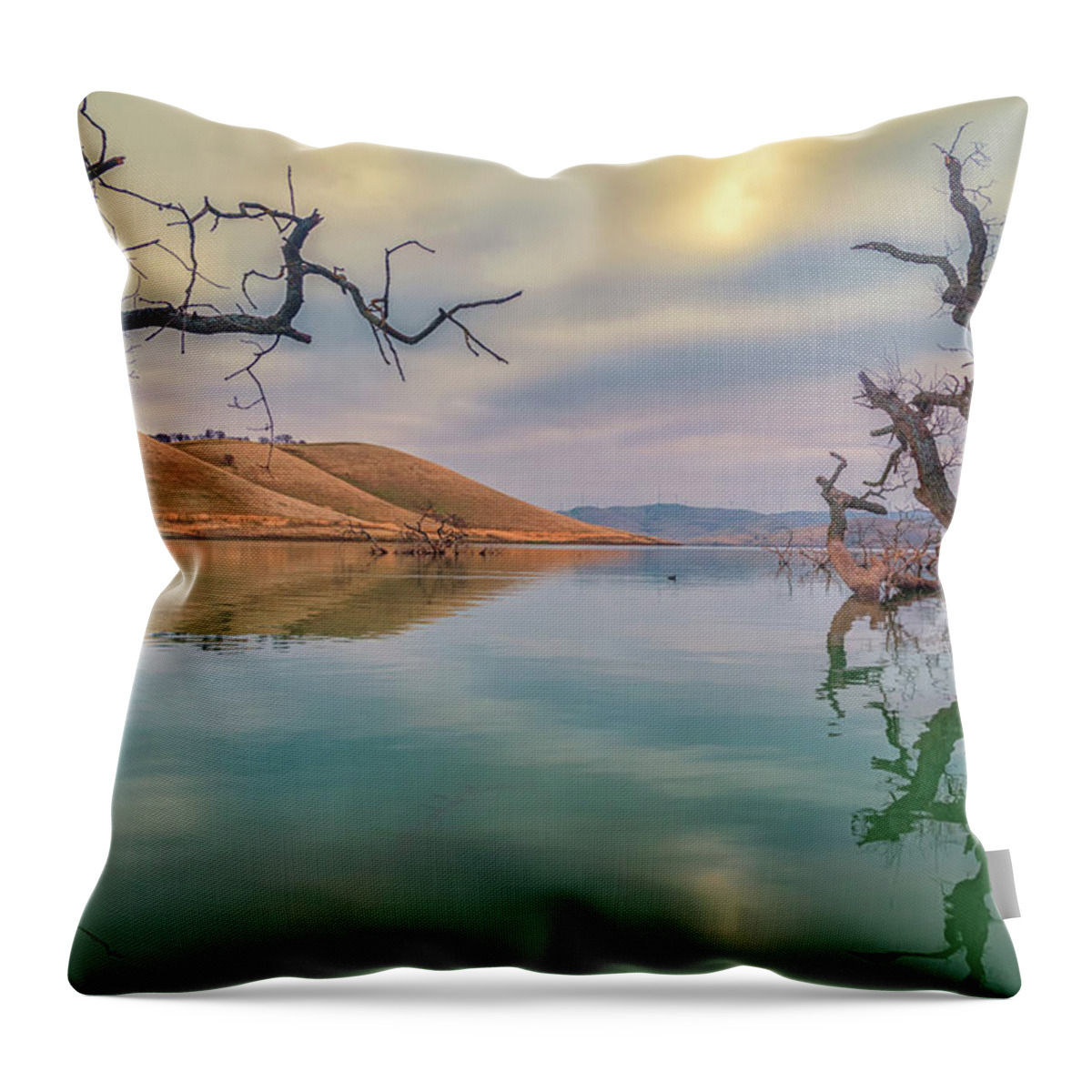 Landscape Throw Pillow featuring the photograph Oaks in Water by Marc Crumpler