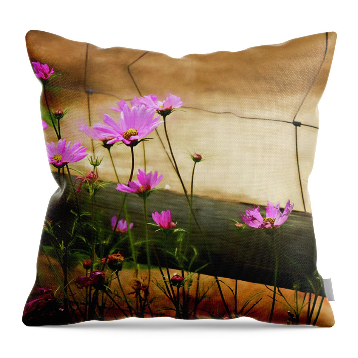  I40 Throw Pillow featuring the photograph Oasis In The Desert by Lana Trussell