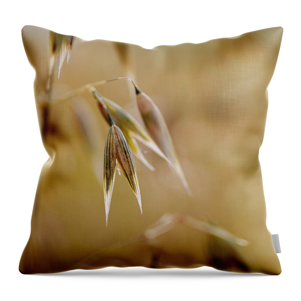 Oat Throw Pillow featuring the photograph Summer Oat #1 by Nailia Schwarz