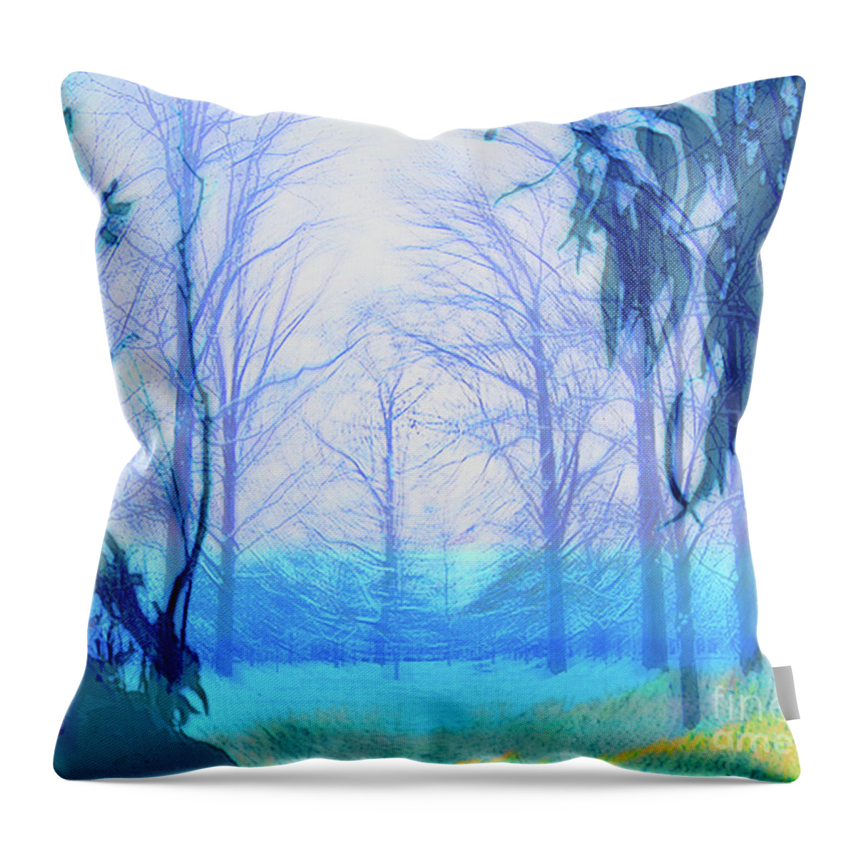 Eucalyptus Throw Pillow featuring the digital art Oberlin Pacific Transition by Shelley Myers