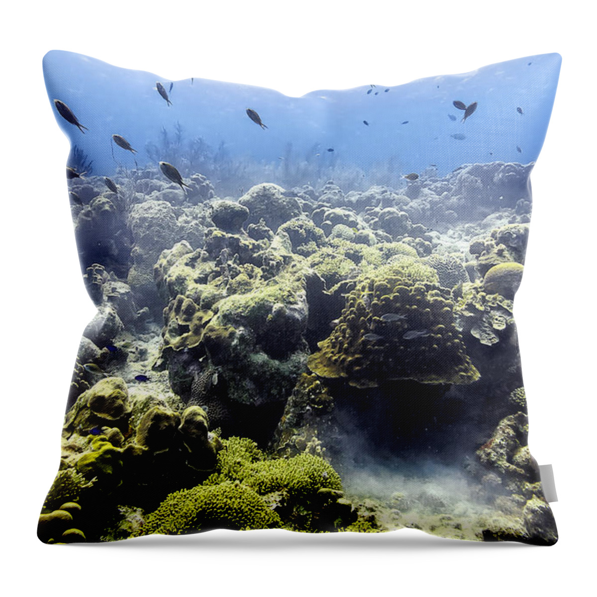 Ocean Light Throw Pillow featuring the photograph Ocean Light II by Perla Copernik