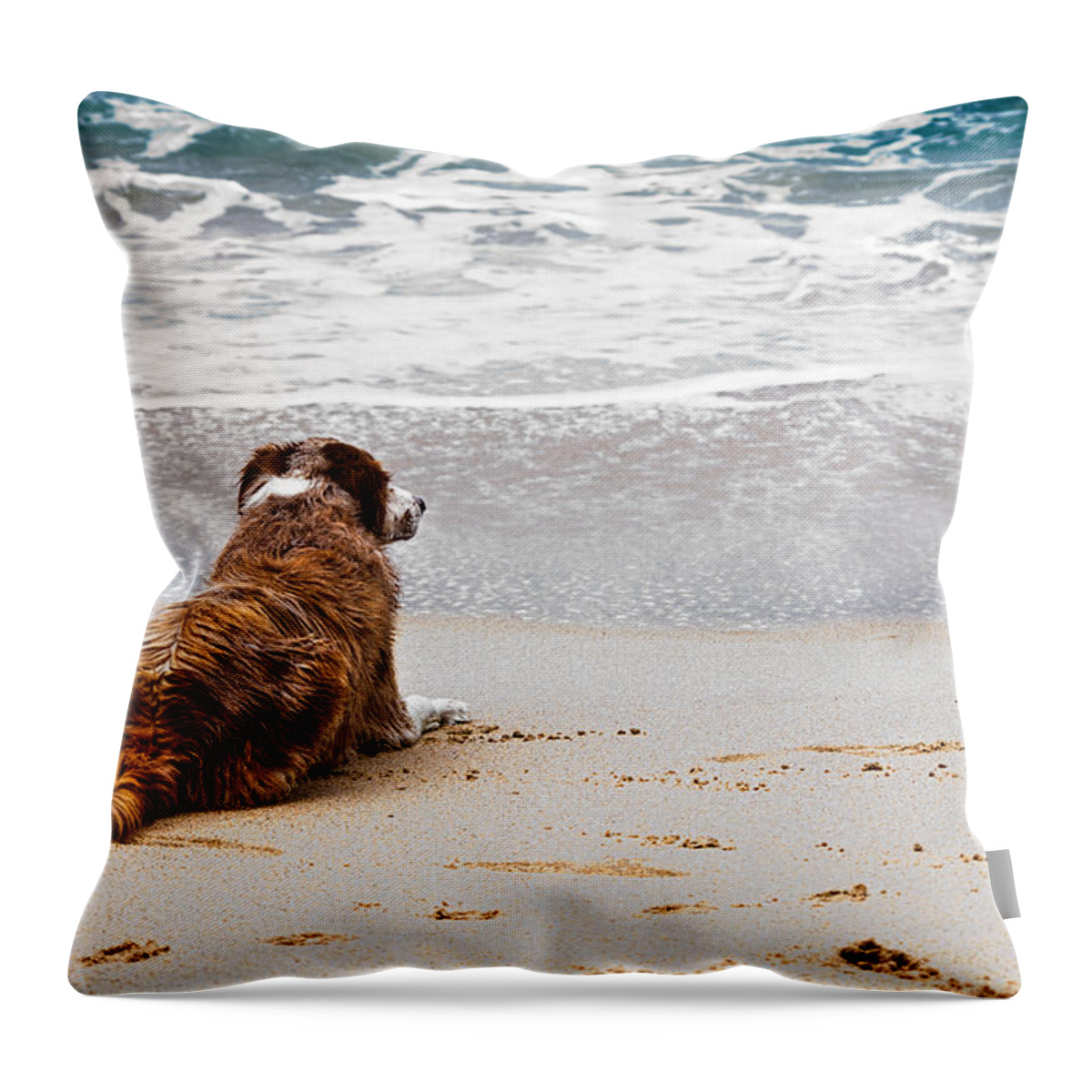 Dog Throw Pillow featuring the photograph Ocean View by Kevin Duke