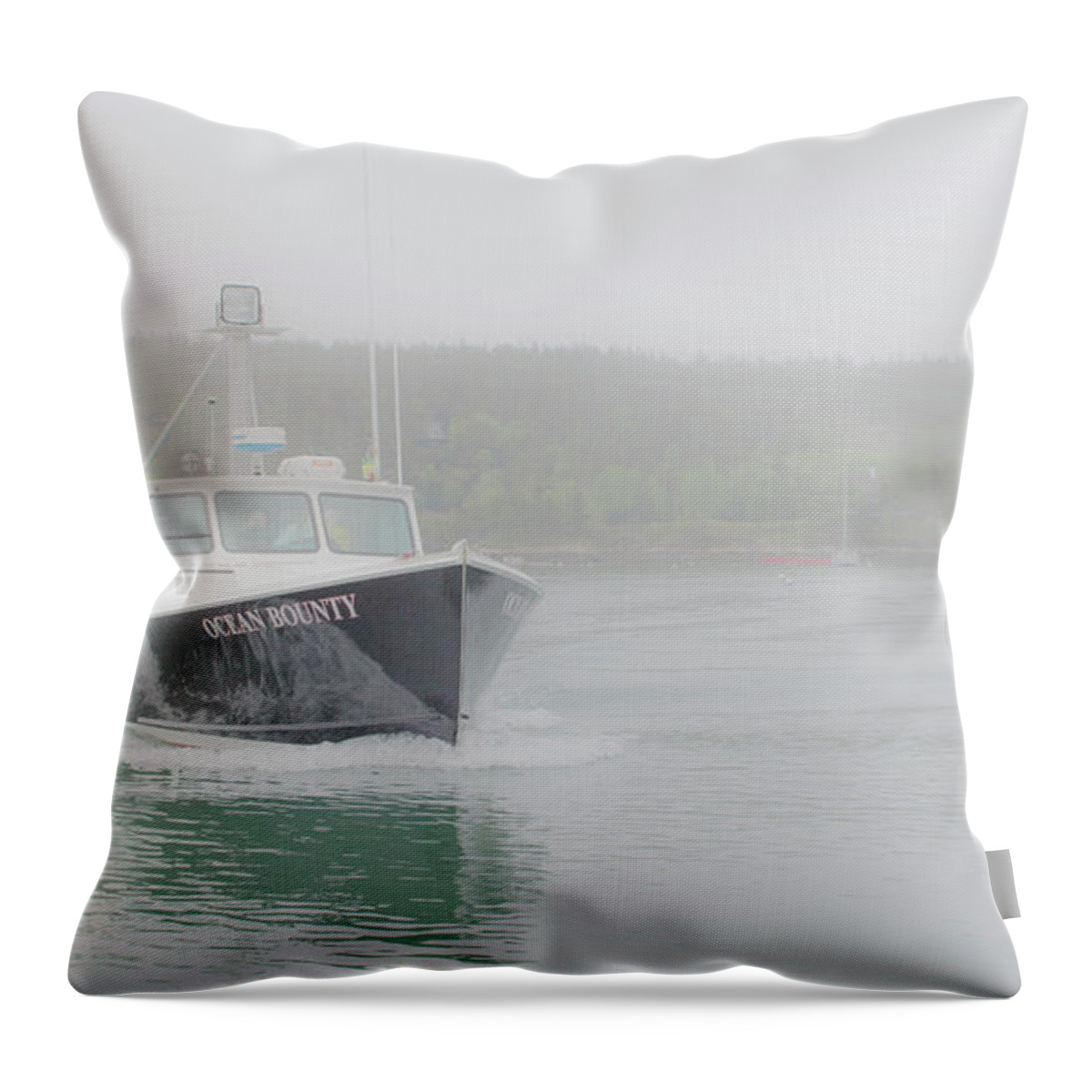 Maine Throw Pillow featuring the photograph Ocean's Bounty by Holly Ross