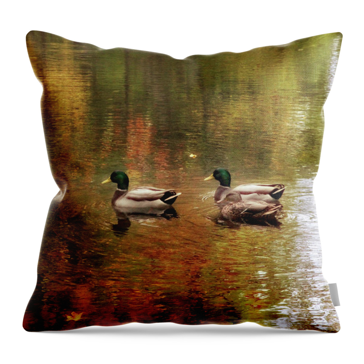 Ducks Throw Pillow featuring the photograph October Swim by Jessica Jenney