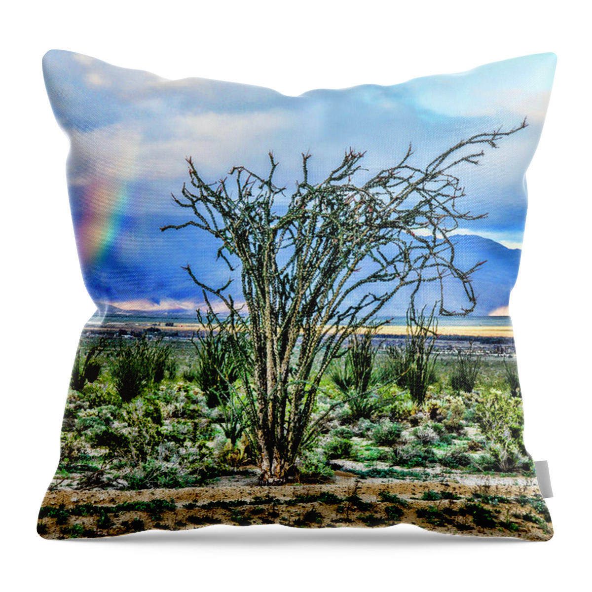 Ocotillo Cactus Rainbow Throw Pillow featuring the digital art Ocotillo Cactus Rainbow by Daniel Hebard