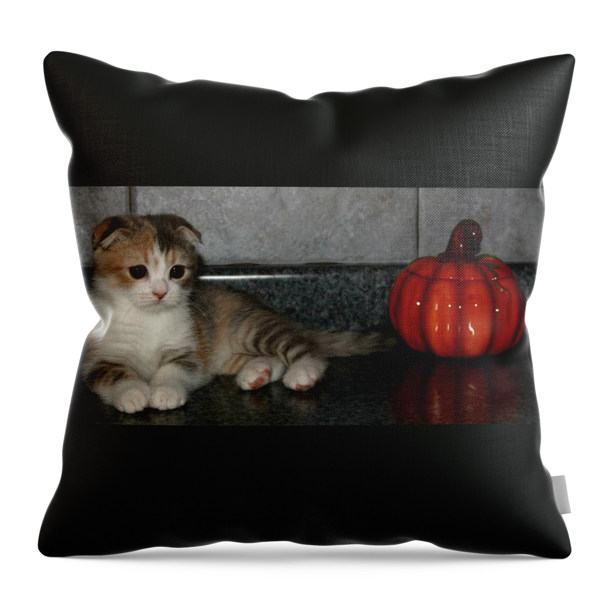 Scottish Folds Throw Pillow featuring the pyrography October 2005 by Robert Morin