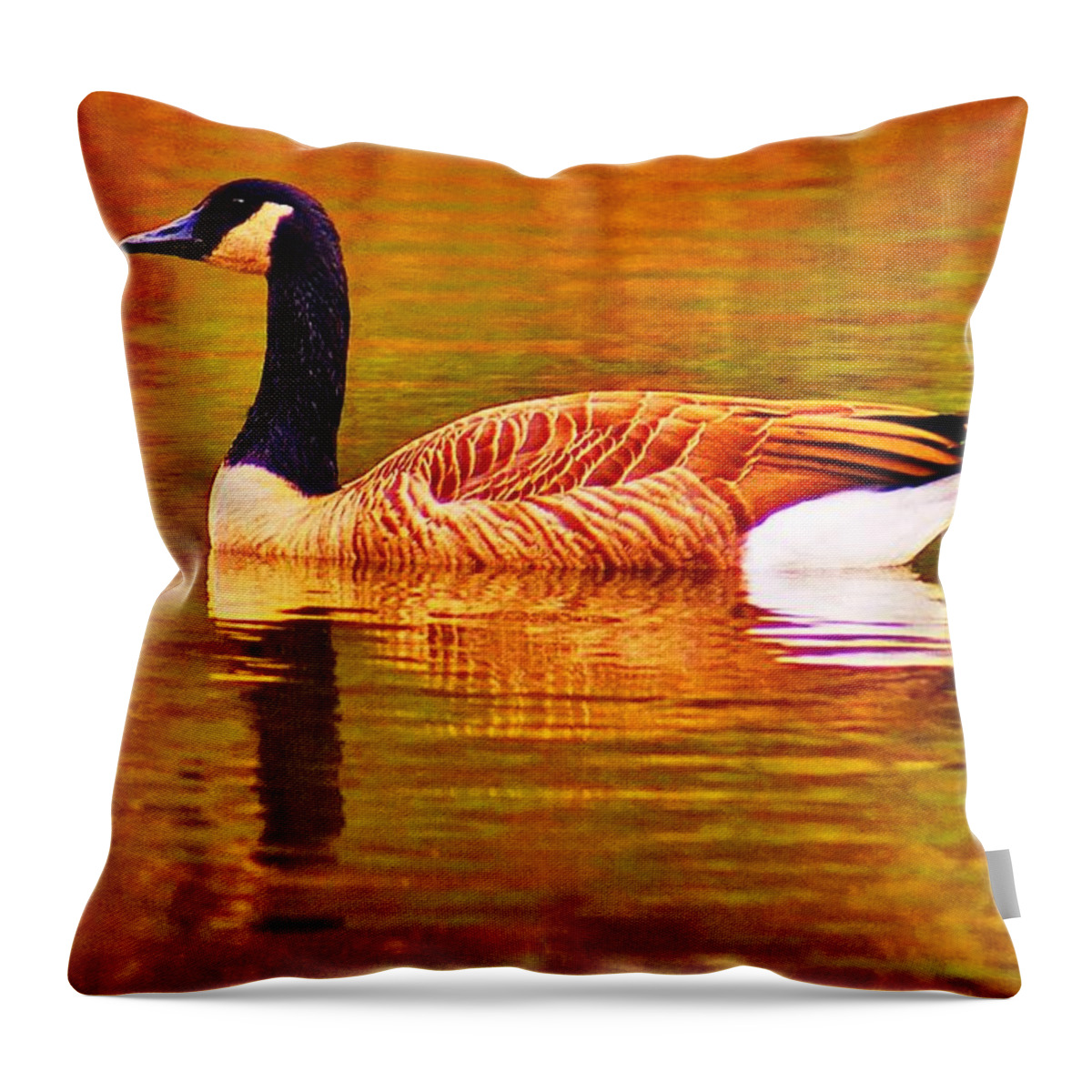 Goose Throw Pillow featuring the photograph October Swim by Daniel Thompson