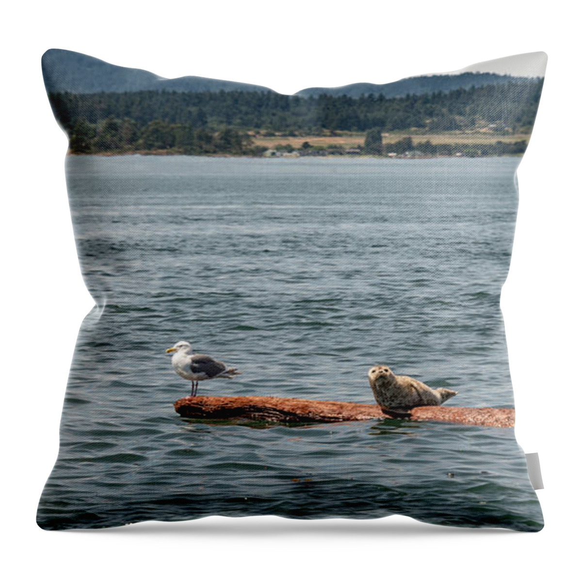 Salish Sea Throw Pillow featuring the photograph Odd Couple by Bob VonDrachek
