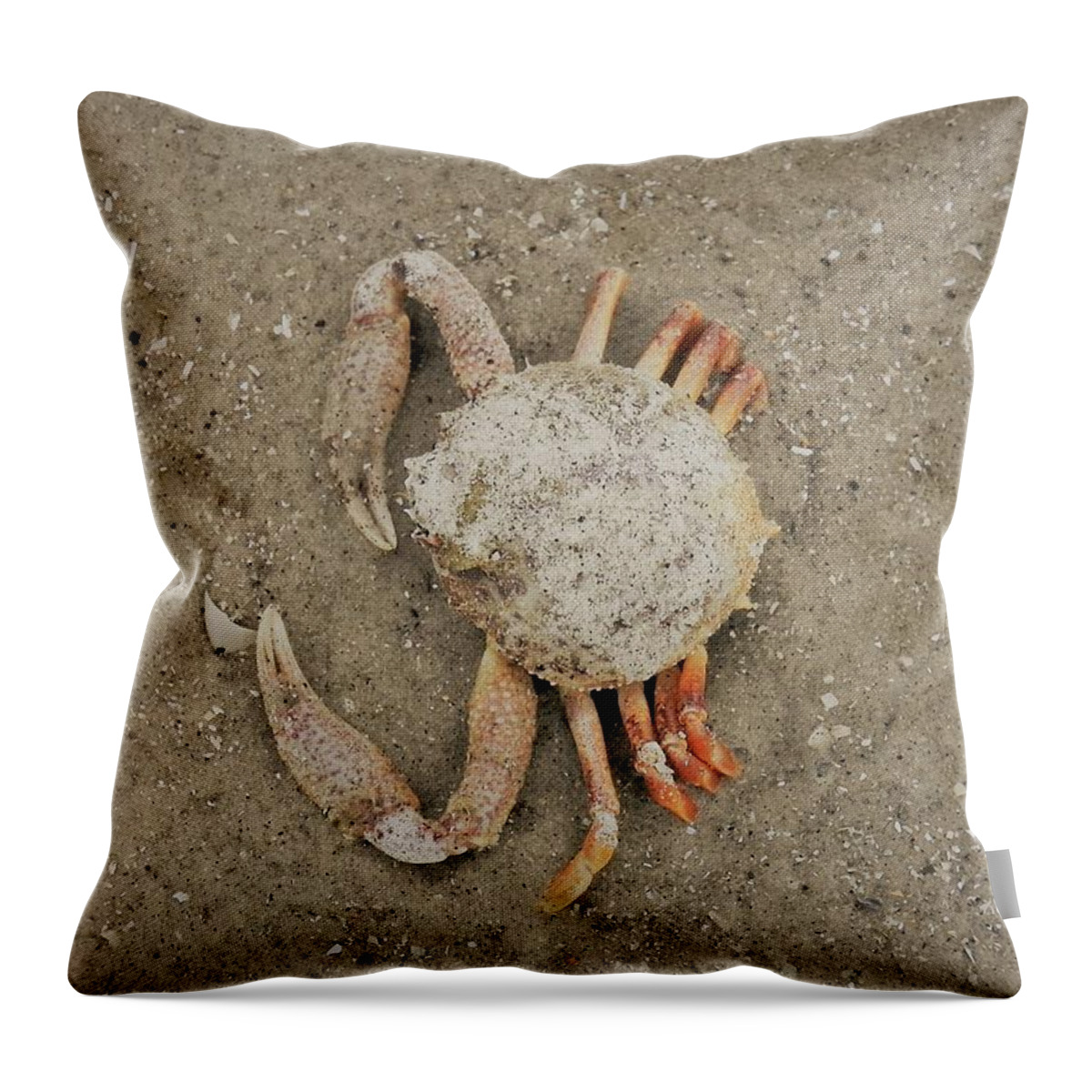Crab Throw Pillow featuring the photograph Odd Crab by Patricia Greer