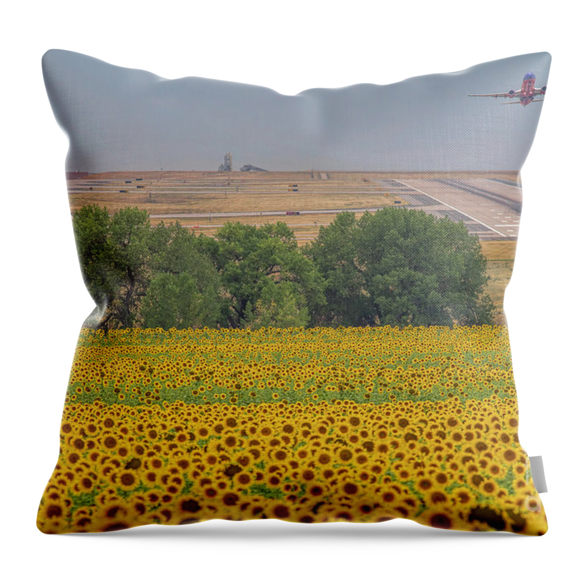 Sunflower Fields Throw Pillow featuring the photograph O'er Fields of Gold by Jim Garrison