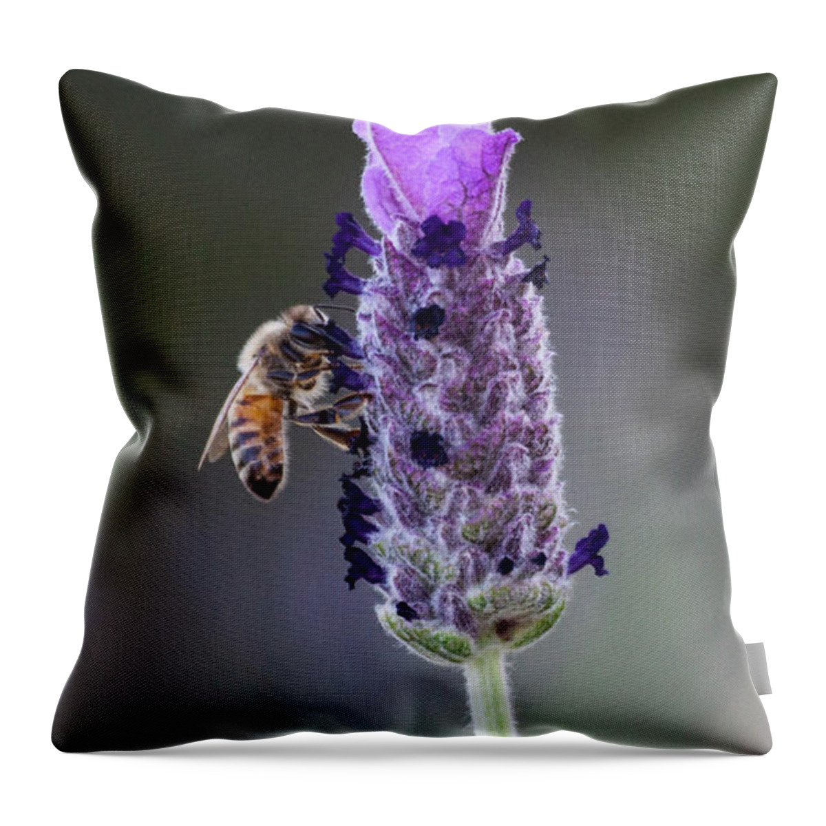Lavender Throw Pillow featuring the photograph Of bees and Lavender by Ruth Jolly