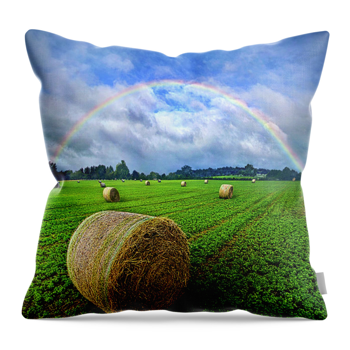 Environment Throw Pillow featuring the photograph Of The Light So Pure And True by Phil Koch