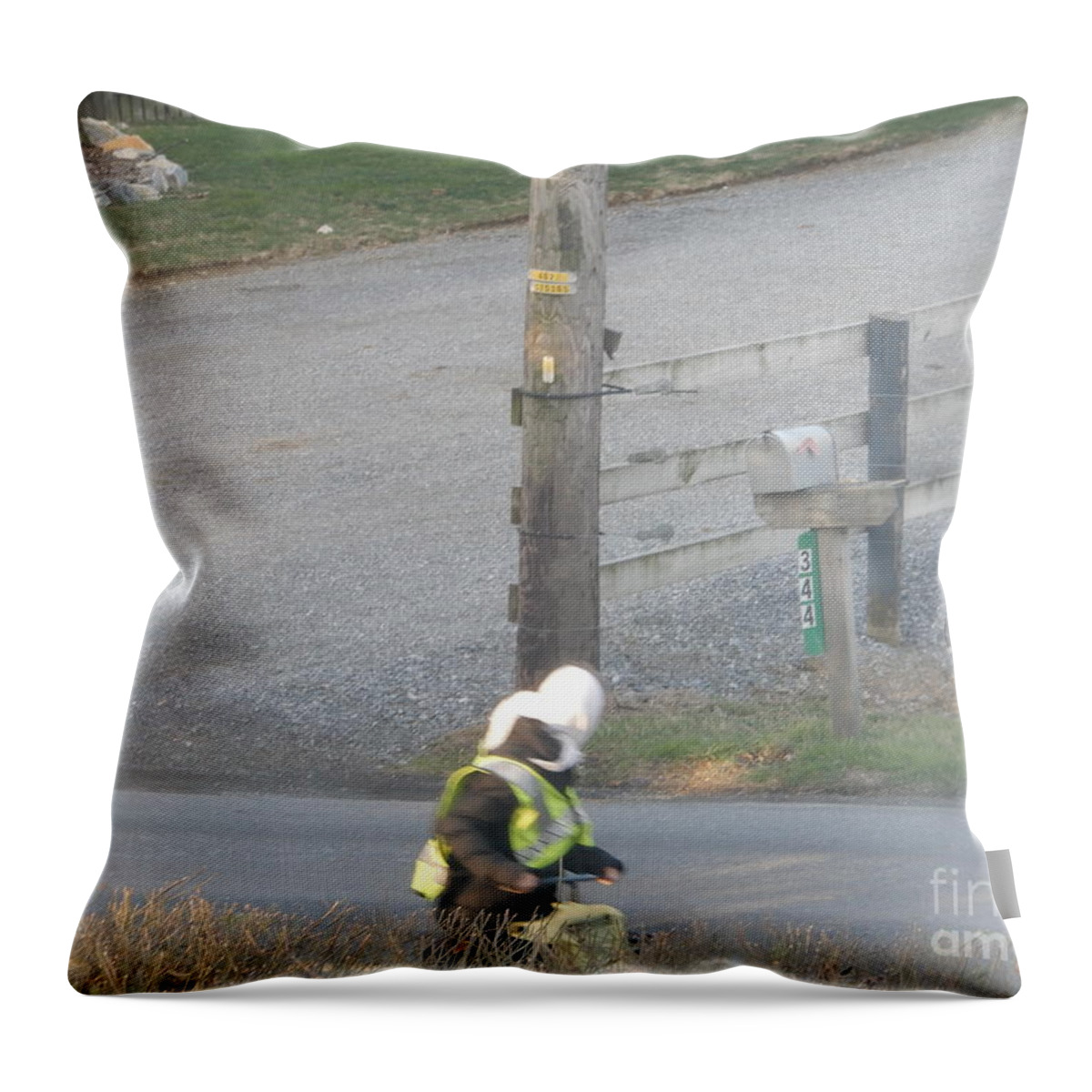 Amish Throw Pillow featuring the photograph Off to School by Christine Clark