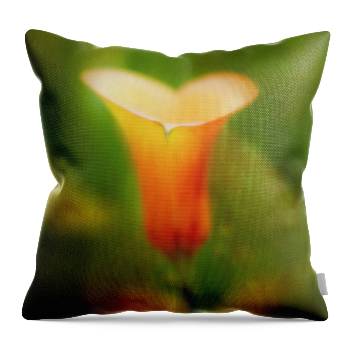 Calla Lily Throw Pillow featuring the photograph Offering. by Usha Peddamatham