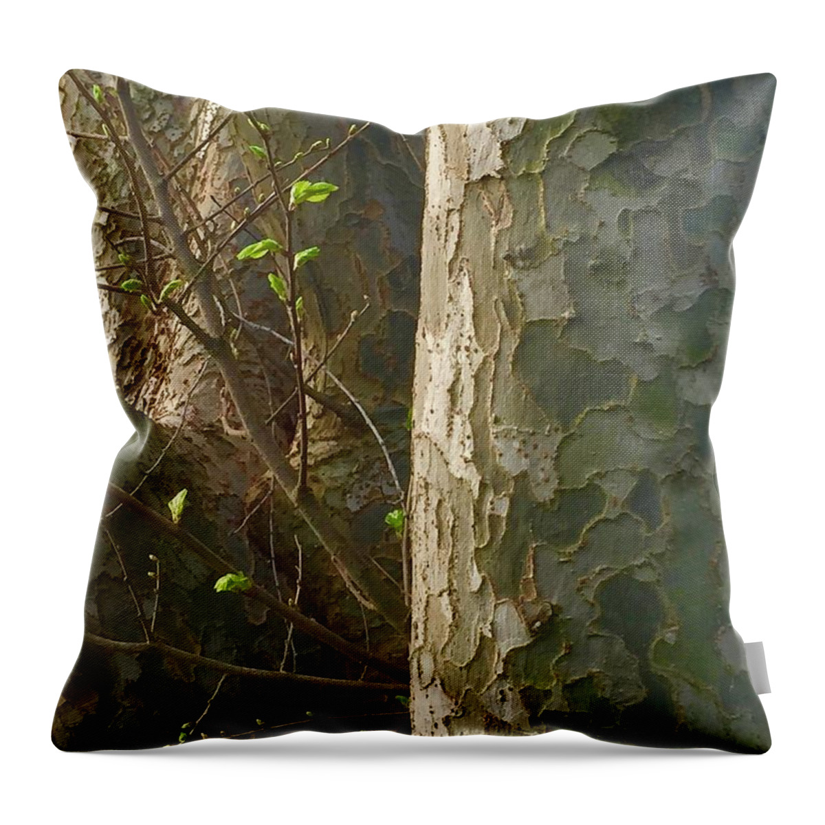 Nature Throw Pillow featuring the photograph Offshoot by Etta Harris