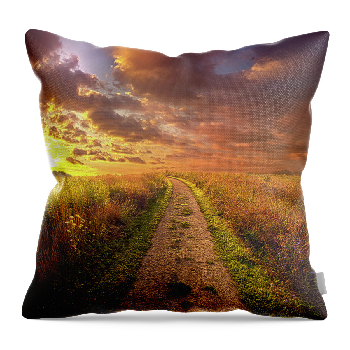 Life Throw Pillow featuring the photograph Oh Brother Where Art Thou by Phil Koch