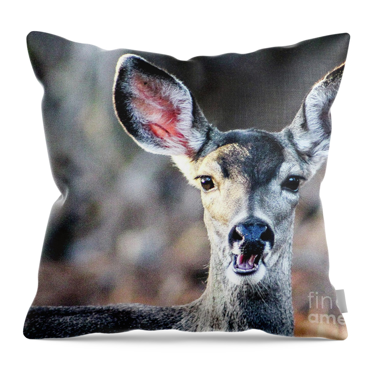 Wildlife Throw Pillow featuring the photograph Oh, Deer by Adam Morsa