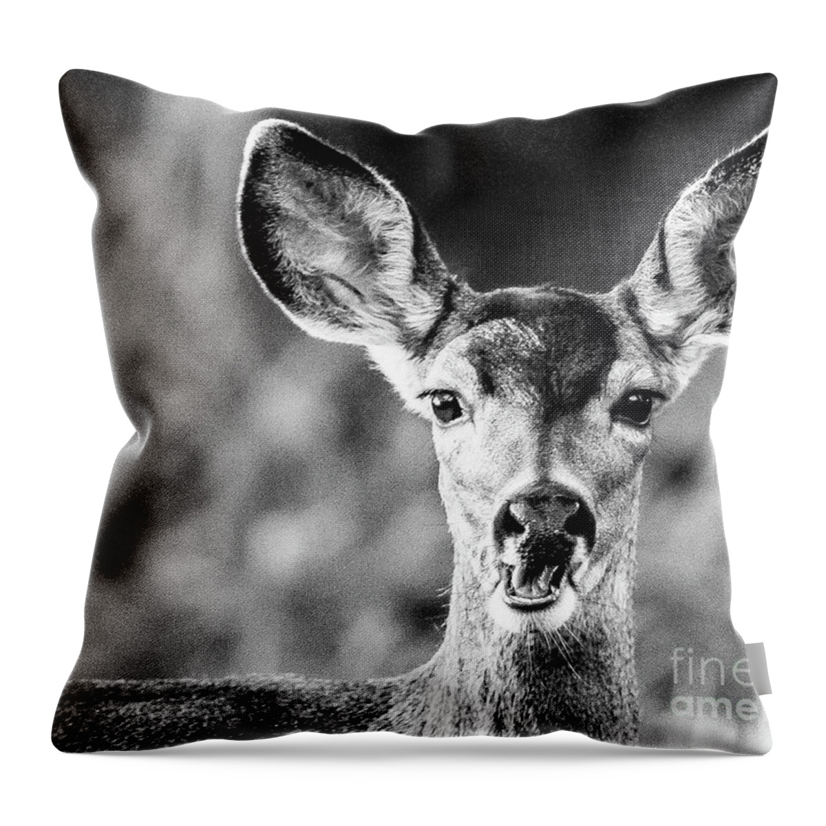 Wildlife Throw Pillow featuring the photograph Oh, Deer, Black and White by Adam Morsa
